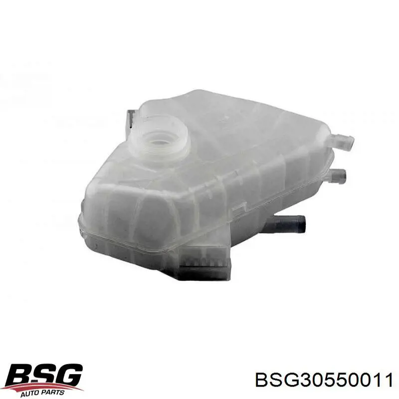 BSG30550011 BSG tanque de expansão do sistema de esfriamento