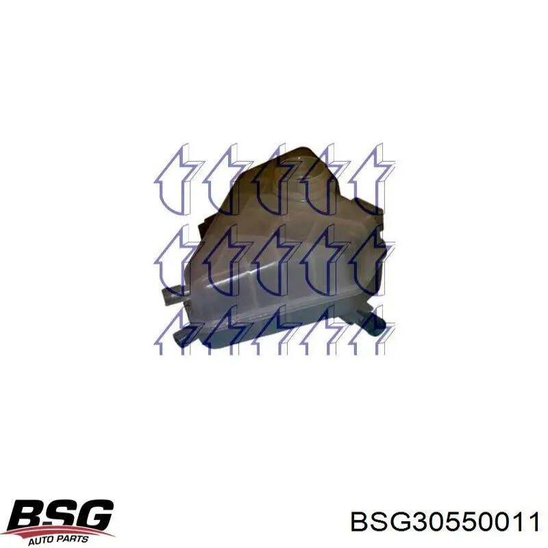 BSG30550011 BSG