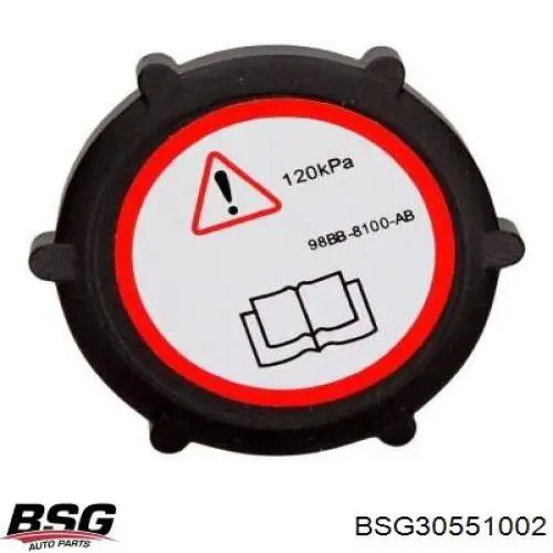 BSG30551002 BSG