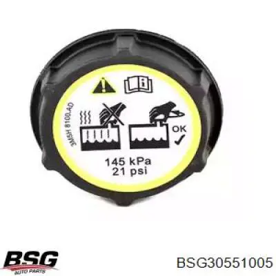 BSG30551005 BSG крышка (пробка расширительного бачка)