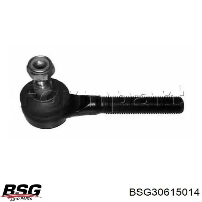 Натяжитель приводного ремня BSG30615014 BSG