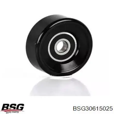 BSG 30-615-025 BSG паразитный ролик