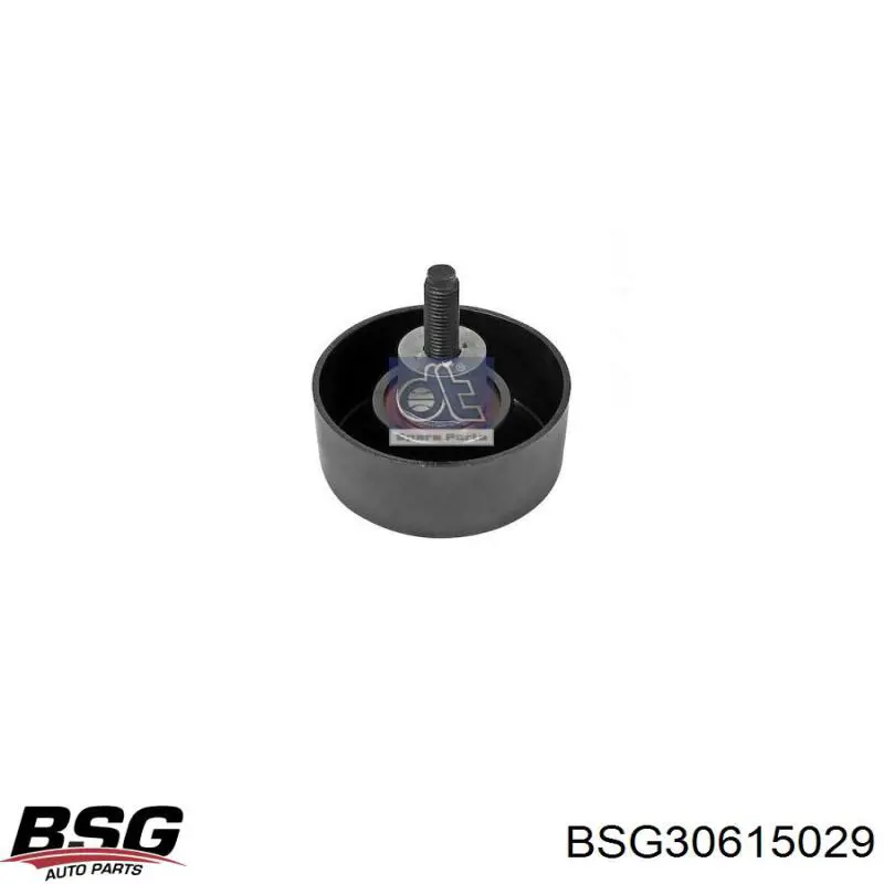 Rolo parasita da correia do mecanismo de distribuição de gás BSG 30615029