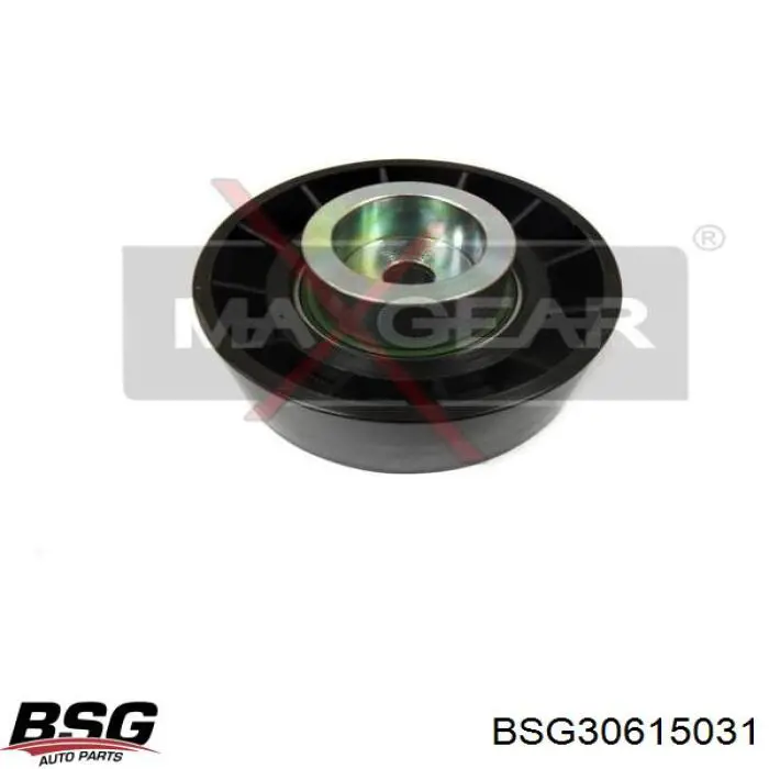 BSG30615031 BSG rolo parasita da correia de transmissão