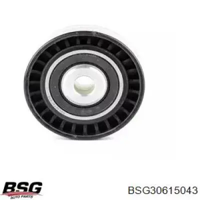 BSG30615043 BSG паразитный ролик