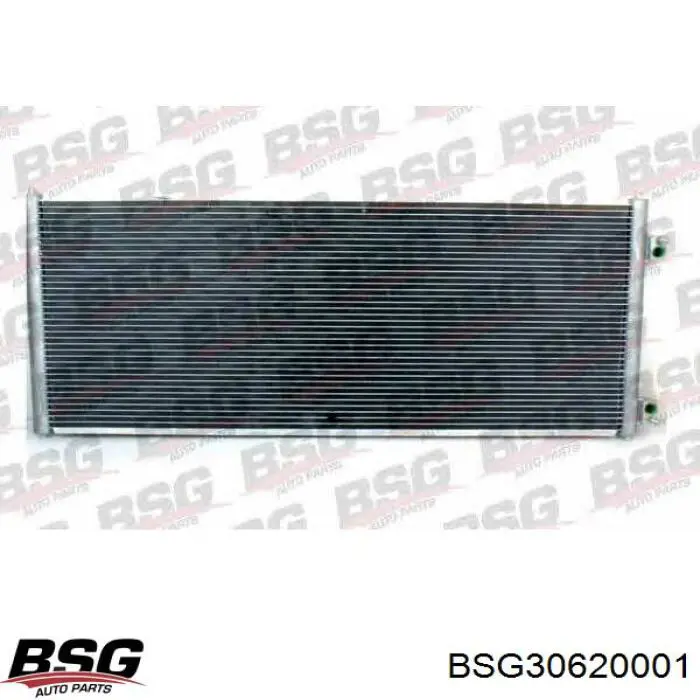 BSG30620001 BSG