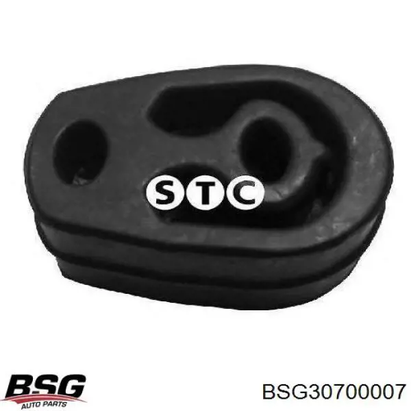 BSG30700007 BSG