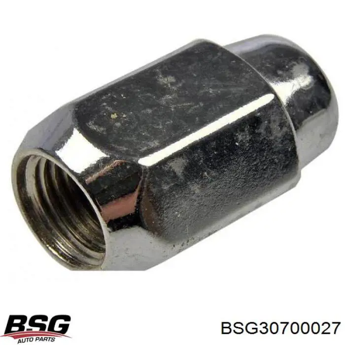 BSG30700027 BSG