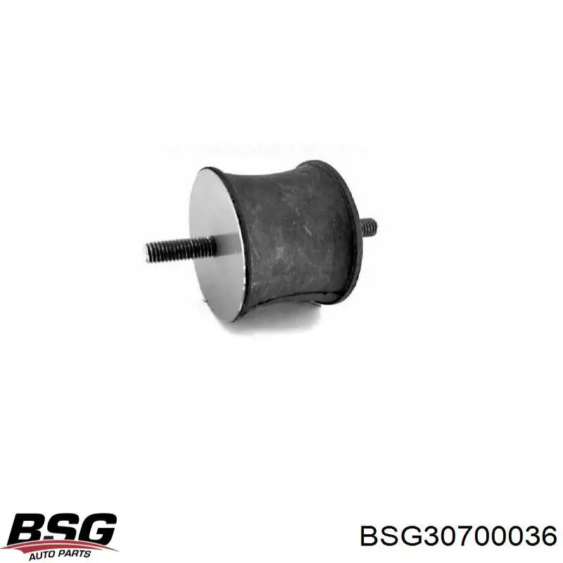  BSG BSG30700036 цена, от 8.15 USD