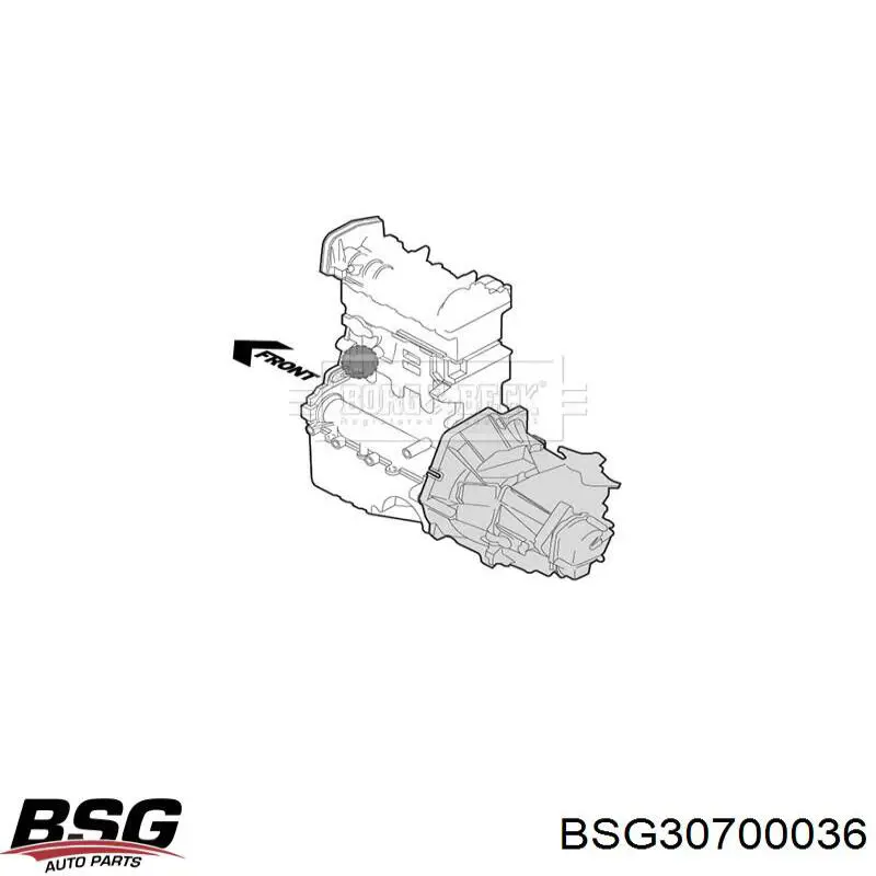 Купить BSG30700036 BSG 