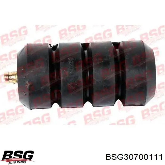 BSG 30-700-111 BSG grade de proteção da suspensão de lâminas traseira