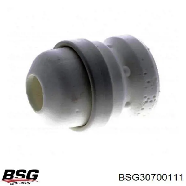 BSG30700111 BSG