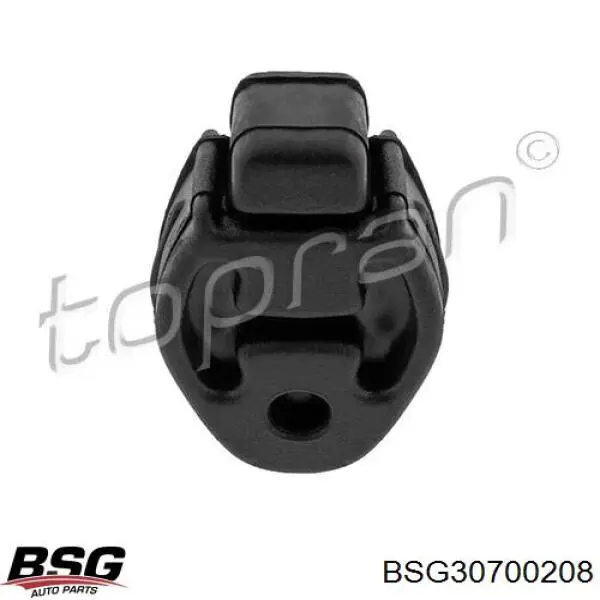 BSG30700208 BSG