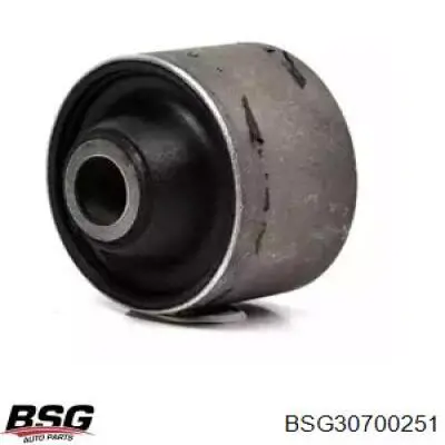 BSG30700251 BSG сайлентблок переднего нижнего рычага