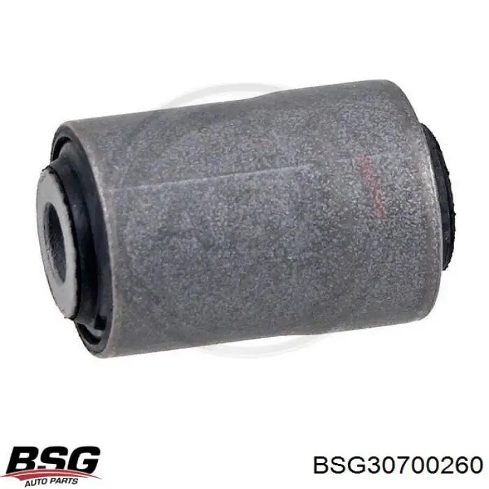 BSG30700260 BSG