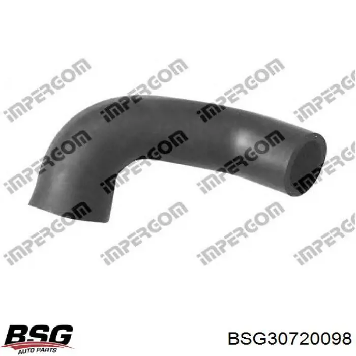 BSG30720098 BSG