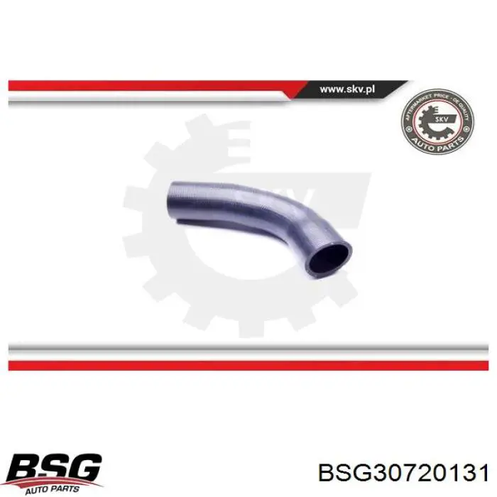 BSG 30-720-131 BSG mangueira (cano derivado direita de intercooler)