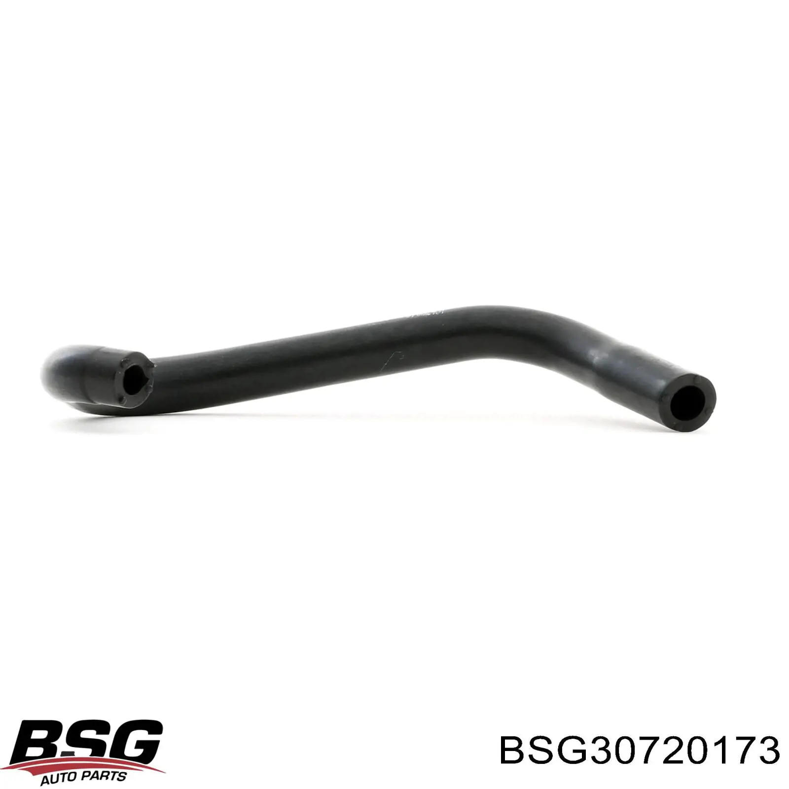 BSG30720173 BSG