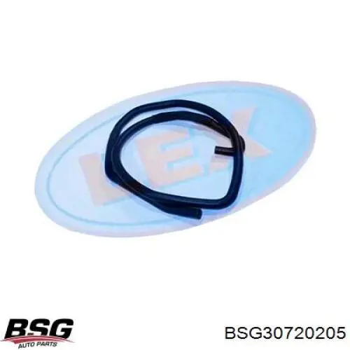 BSG30720205 BSG