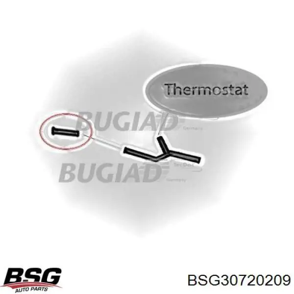 Шланг (патрубок) системы охлаждения BSG BSG30720209