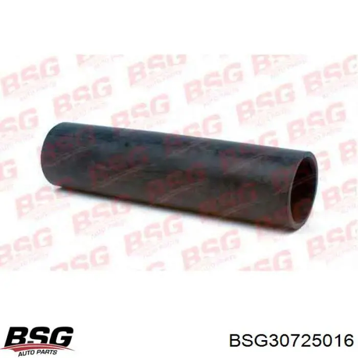  BSG30725016 BSG