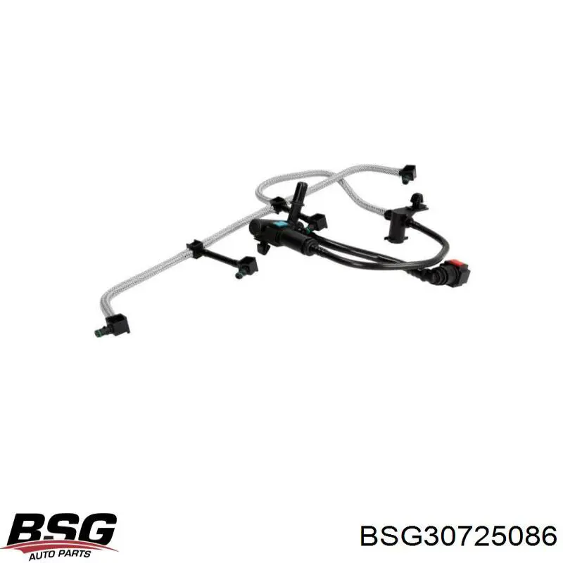 BSG30725086 BSG 