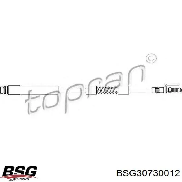 BSG30730012 BSG Гибкая тормозная трубка передняя