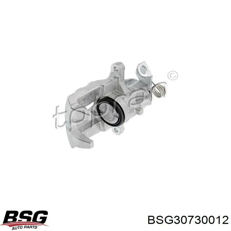 Купить BSG30730012 BSG Шланг тормозной передний