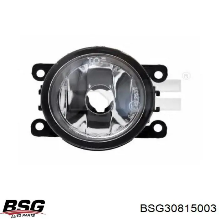 BSG30815003 BSG