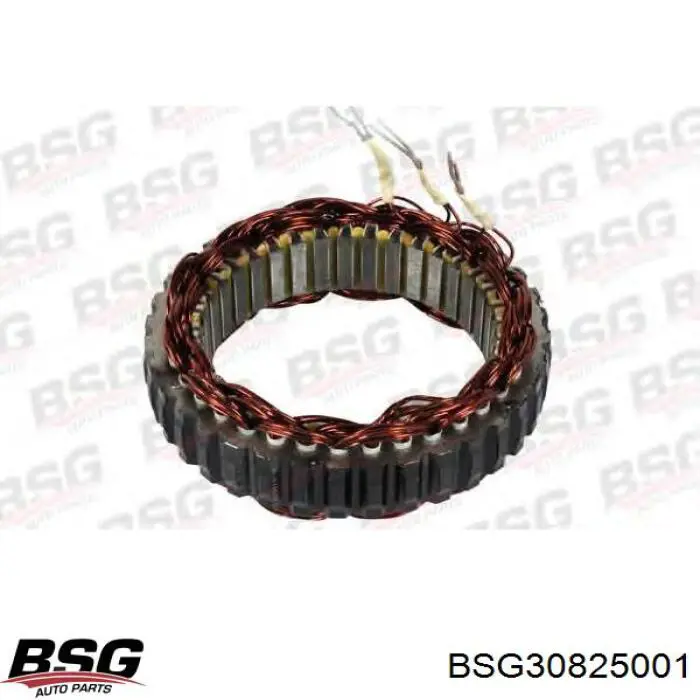 BSG 30-825-001 BSG генератор