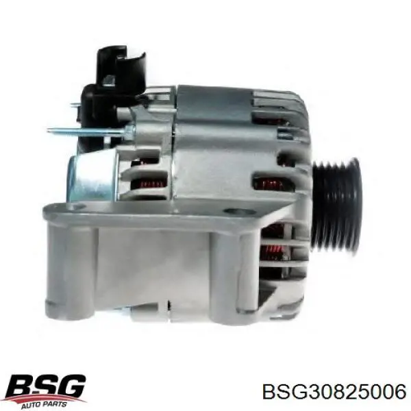 BSG30825006 BSG генератор