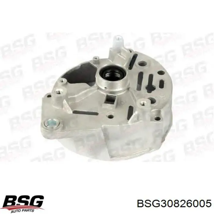  BSG30826005 BSG