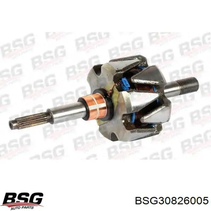 BSG30826005 BSG 