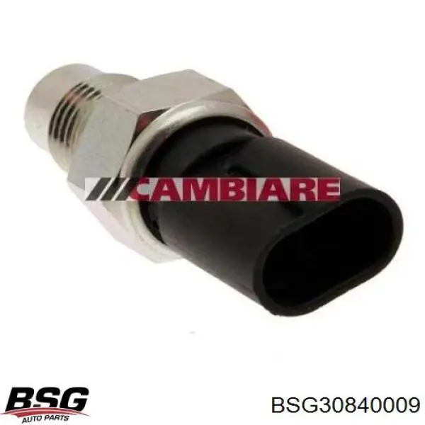 BSG30840009 BSG