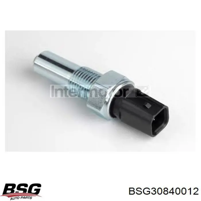 BSG30840012 BSG