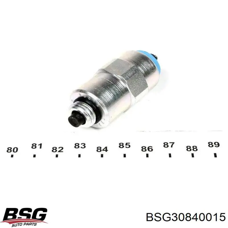 BSG 30-840-015 BSG клапан тнвд отсечки топлива (дизель-стоп)