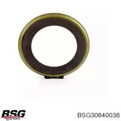 BSG 30840-038 BSG кольцо абс (abs)
