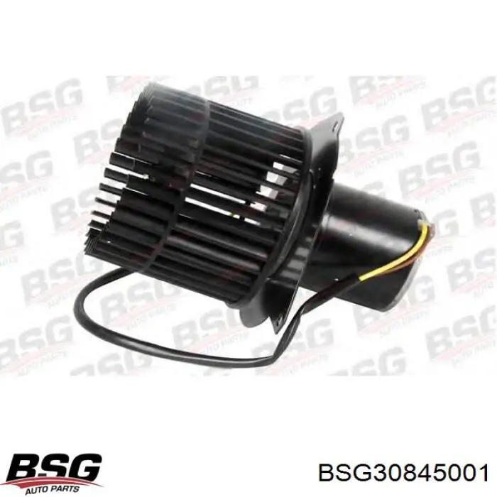 BSG30845001 BSG