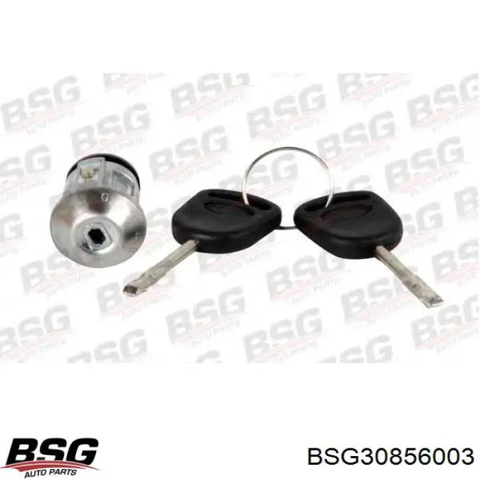 Личинка замка зажигания BSG BSG30856003