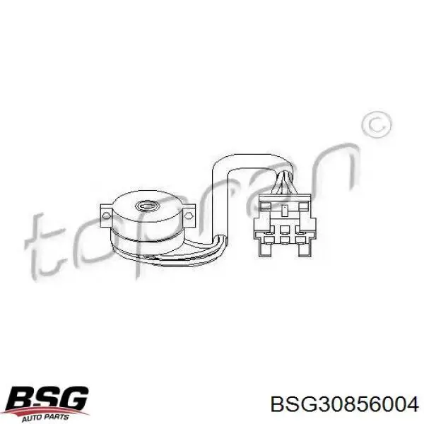 Interruptor de encendido BSG30856004 BSG