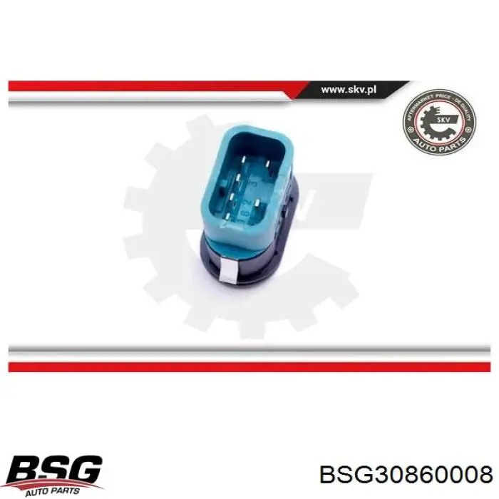 BSG30860008 BSG