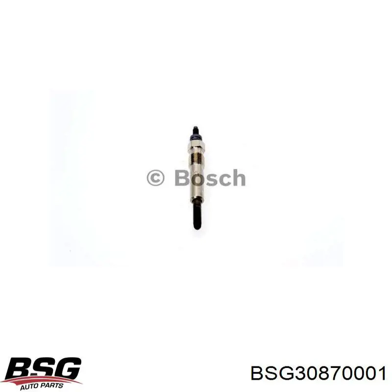 Свечи накала BSG30870001 BSG