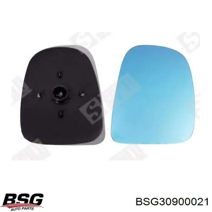 BSG30900021 BSG