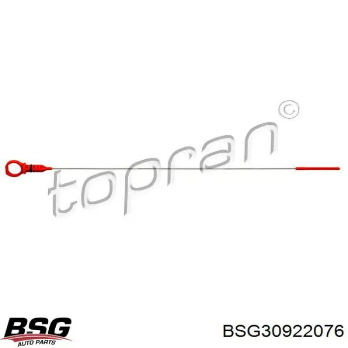 BSG30922076 BSG щуп (индикатор уровня масла в двигателе)