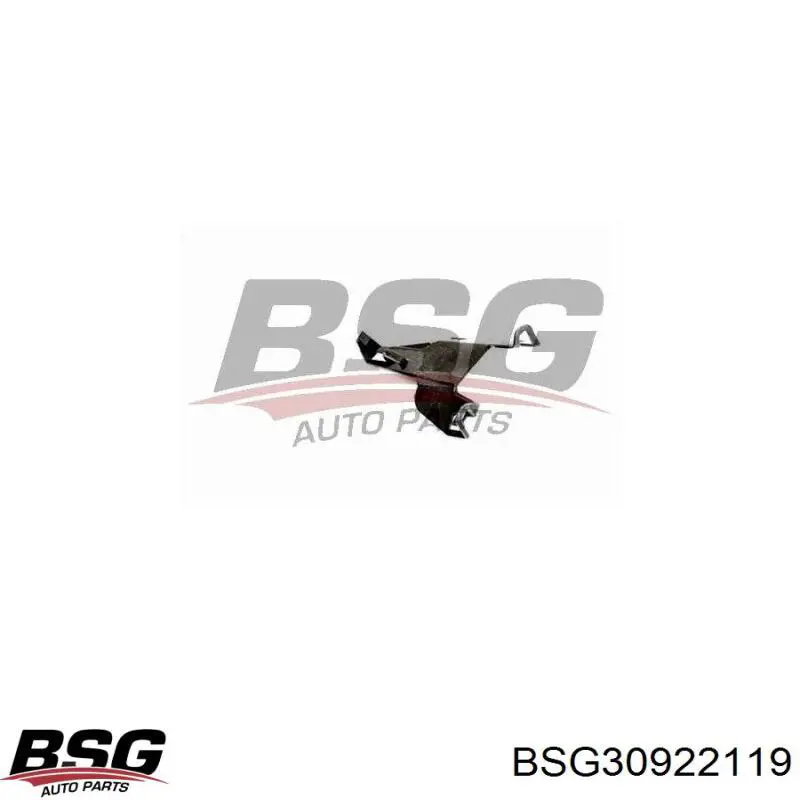 BSG30922119 BSG 