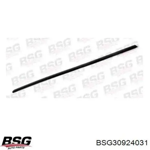  BSG30924031 BSG