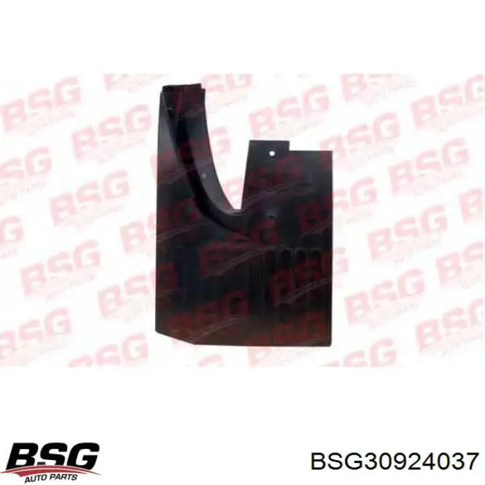  BSG30924037 BSG