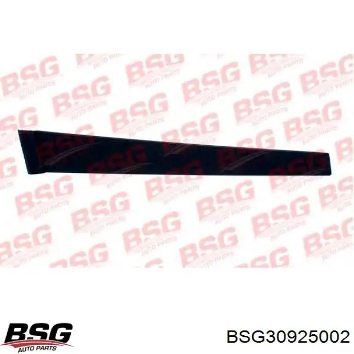 Накладка двери передней левой вертикальная BSG BSG30925002