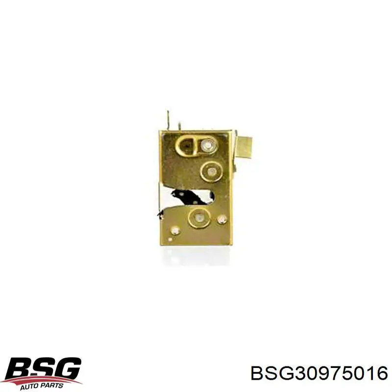BSG30975016 BSG