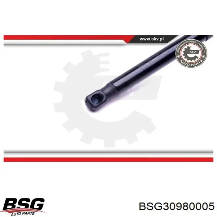 Амортизатор задней двери BSG BSG30980005 цена, от 10.52 USD